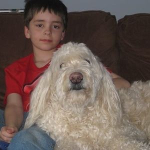 Meet your Posher, Lee-ann